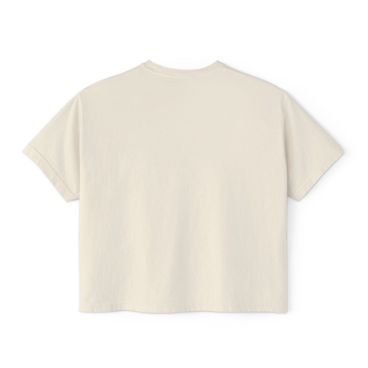 The Universe is my Sugar Daddy Boxy TShirt